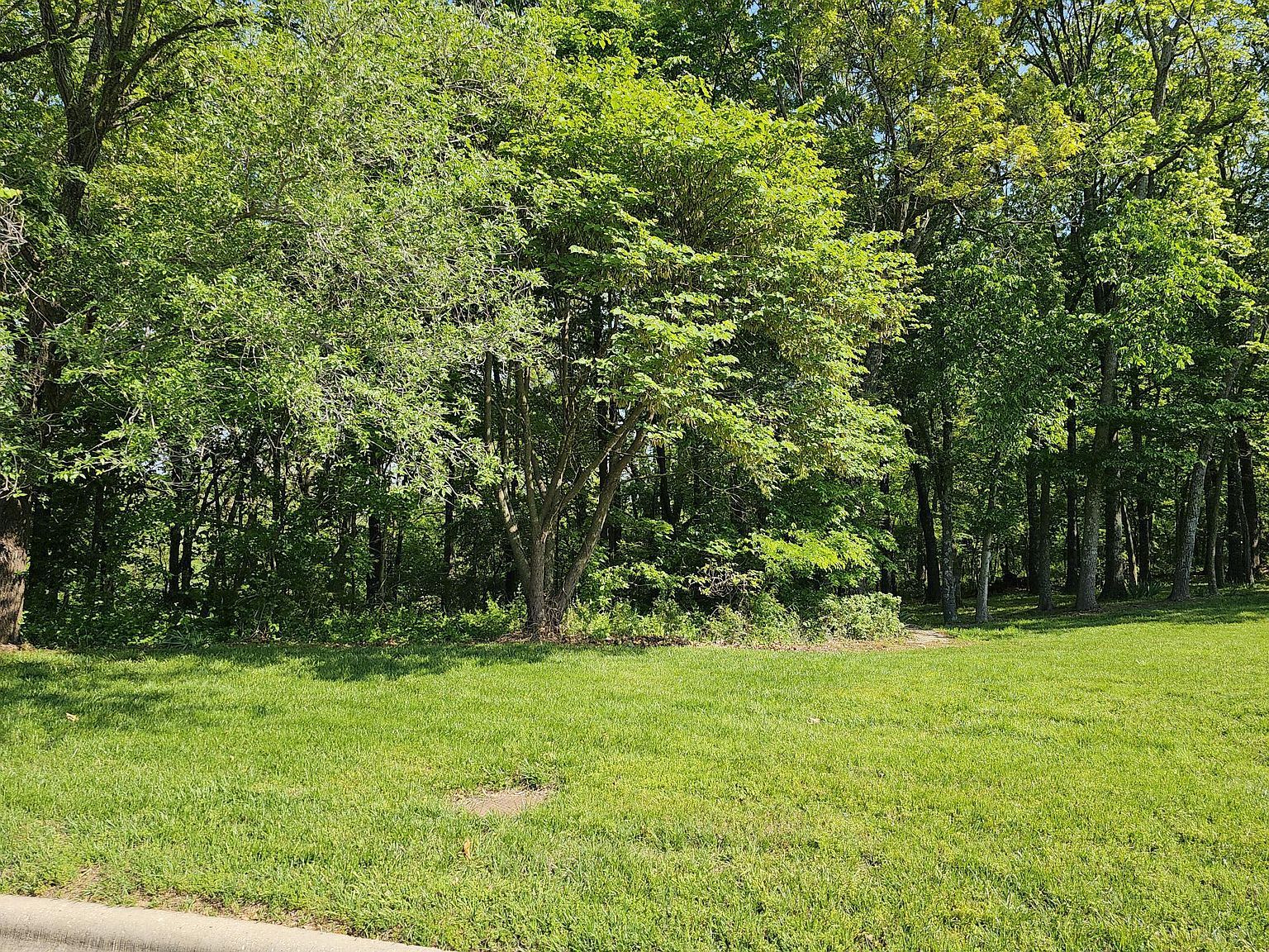 LOT 5 Fox Haven Dr Mount Vernon, MO 65712 - Thumbnail 2