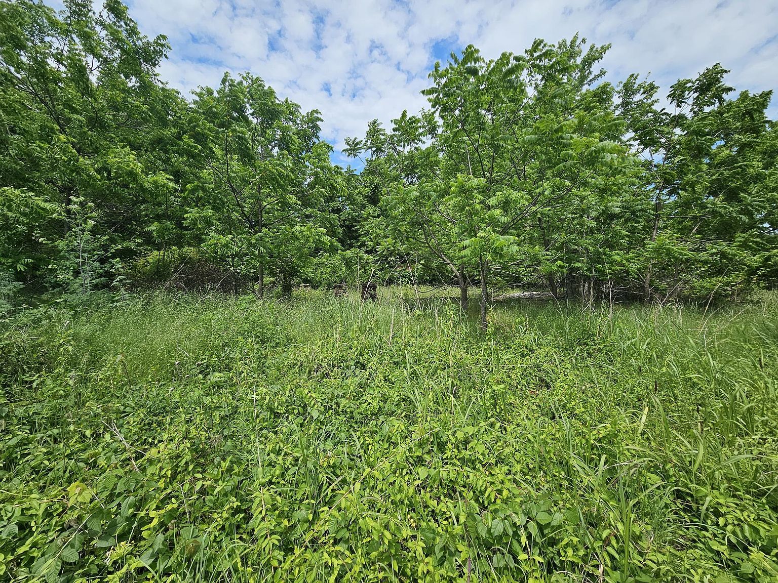 0 Highway K Everton, MO 65646, 65646