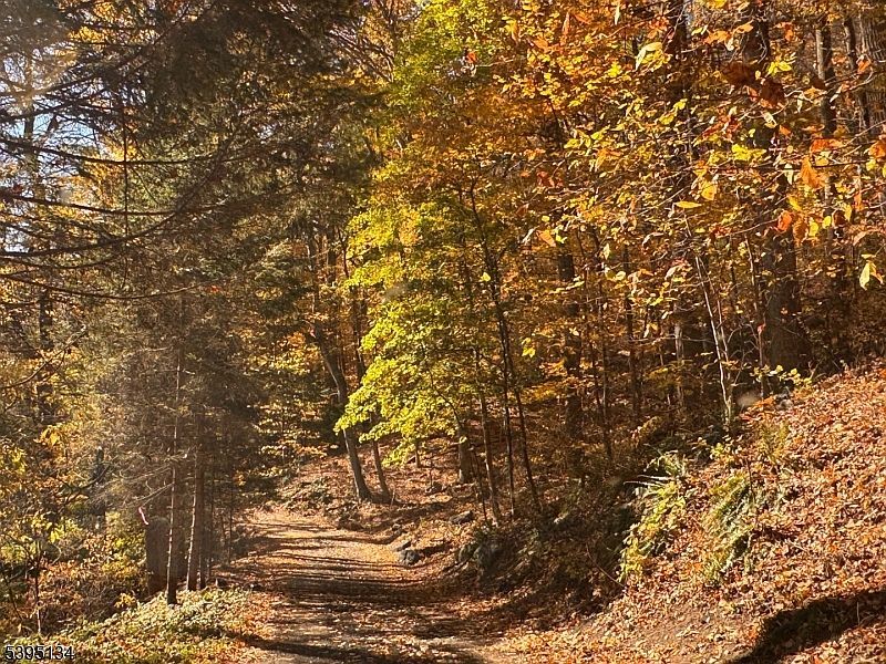 3 Rock St N Belvidere, NJ 07823 - Thumbnail 2