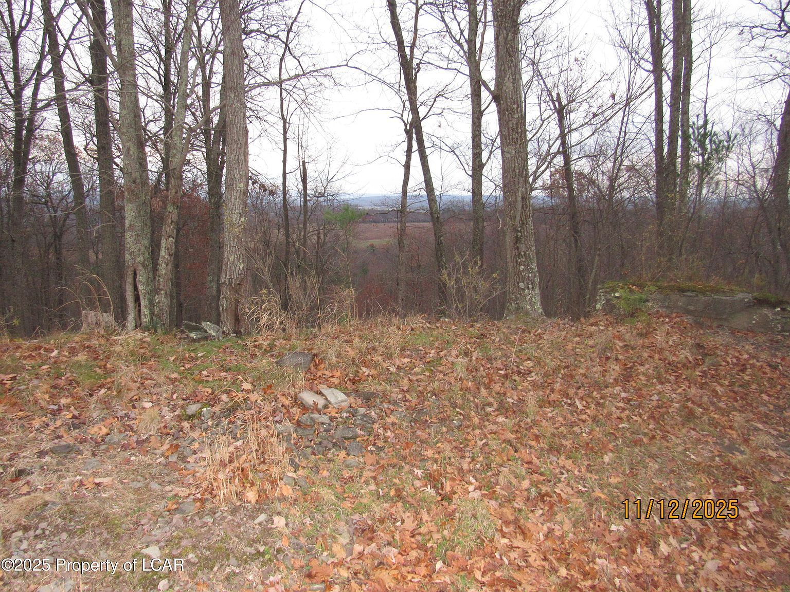 115 Manorview Dr Dallas, PA 18612 - Thumbnail 2