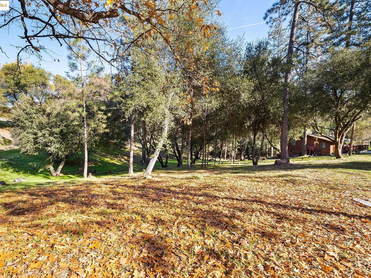 2-306 Ferretti Rd Groveland, CA 95321 - Thumbnail 2