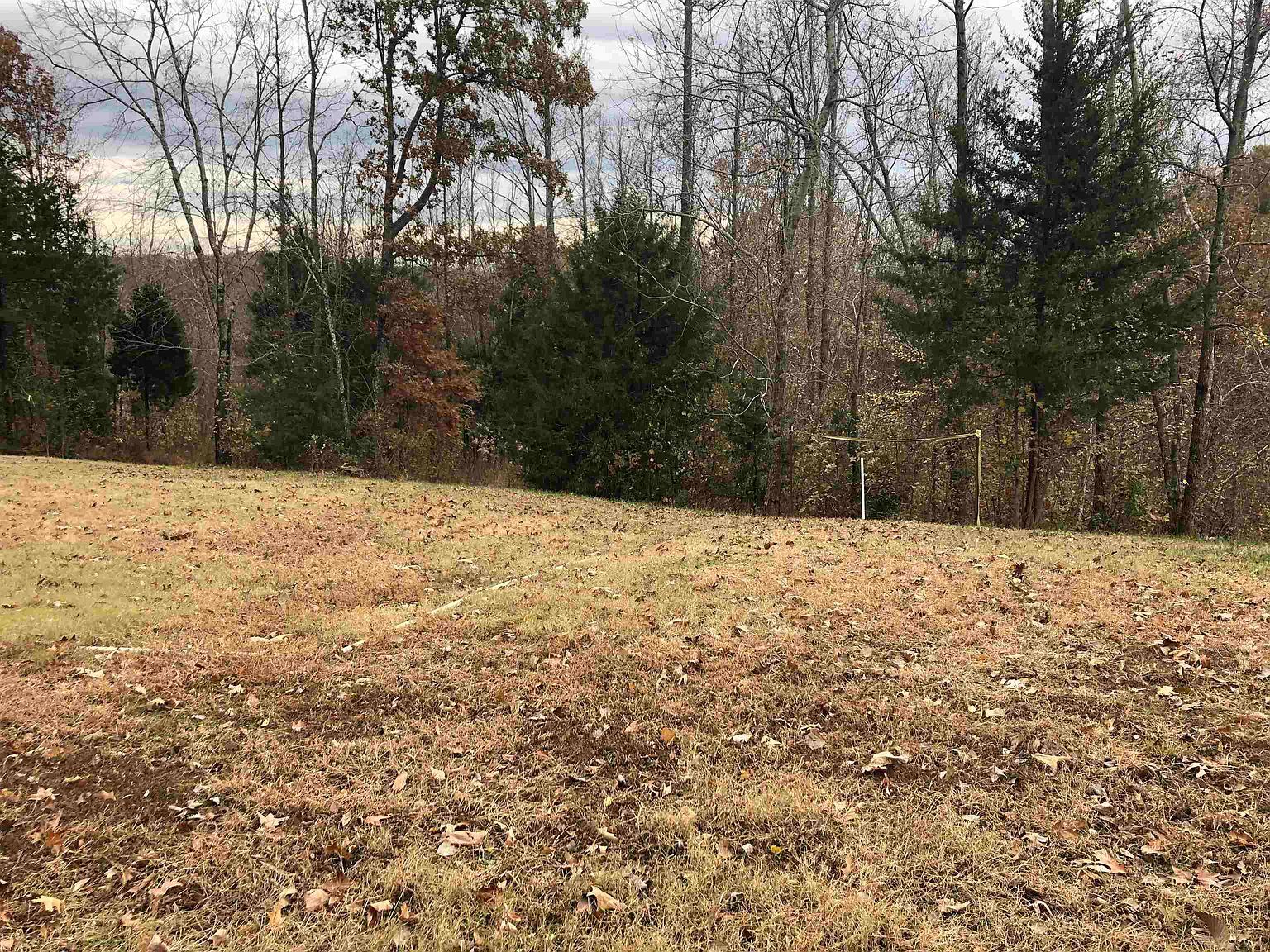 0 Elm Grove Rd Burlison, TN 38015 - Thumbnail 2