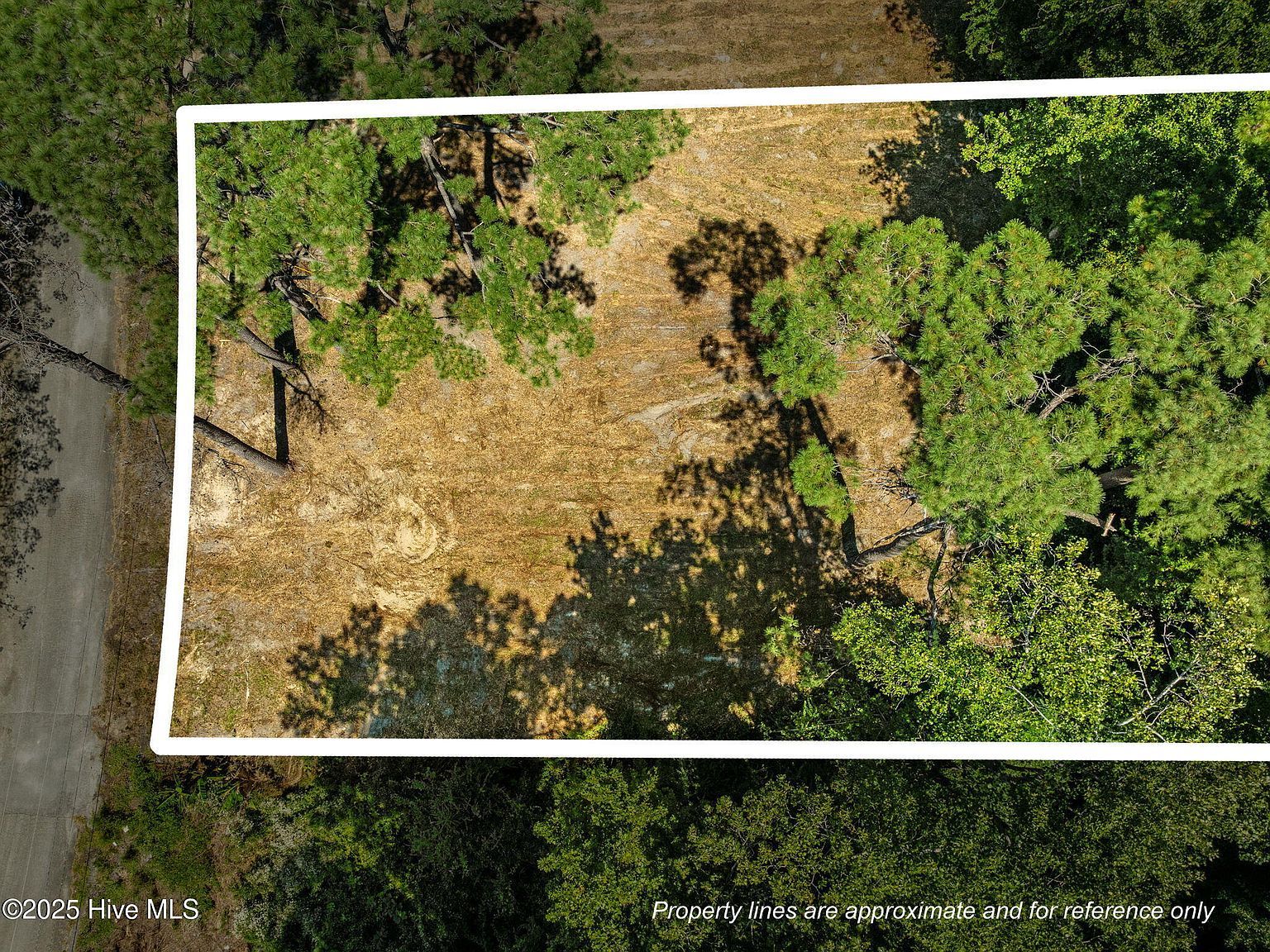 124 Jupiter Trl Jacksonville, NC 28546 - Thumbnail 2