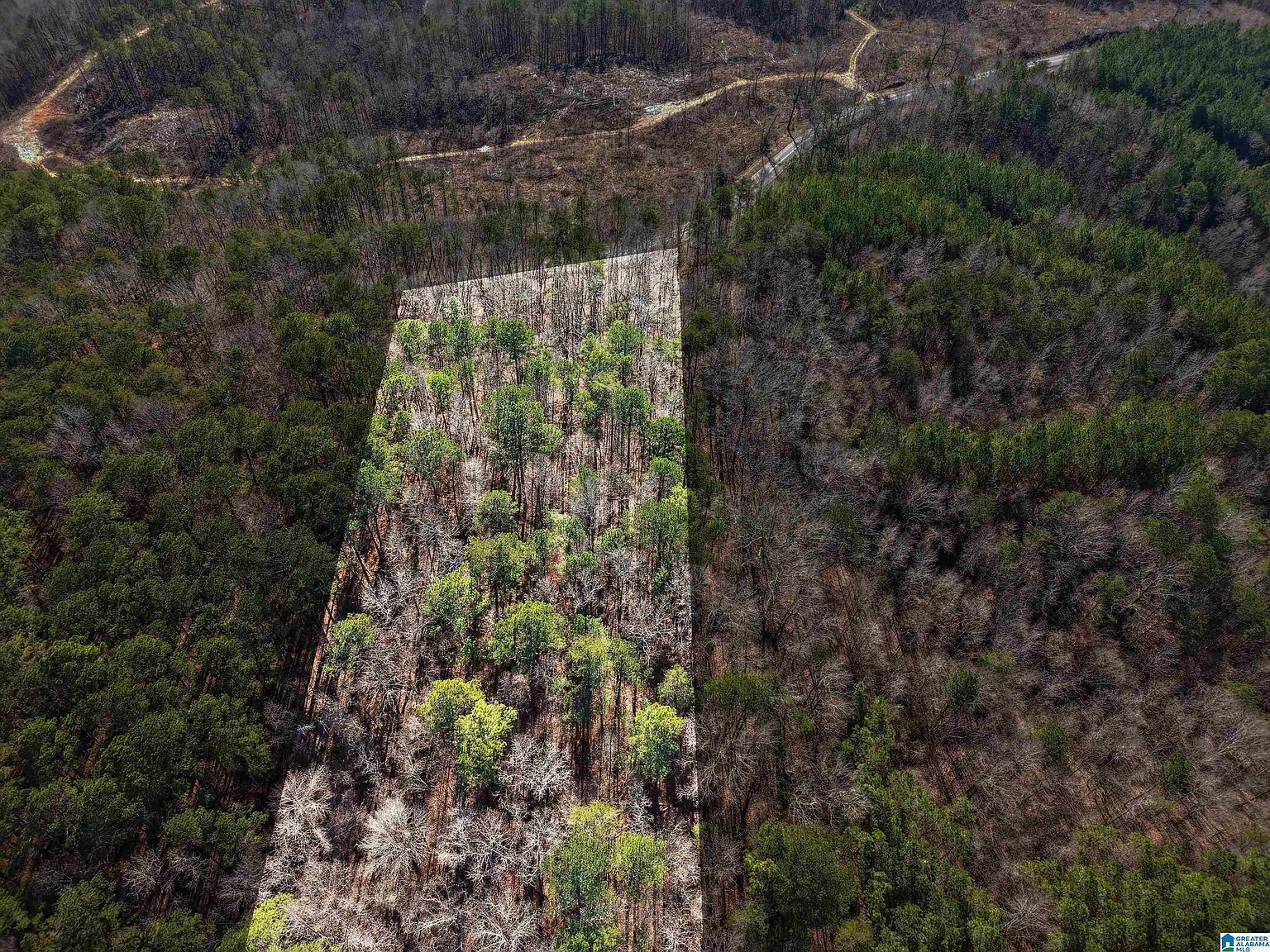 15045 Lock 17 Rd #1 Adger, AL 35006 - Thumbnail 2