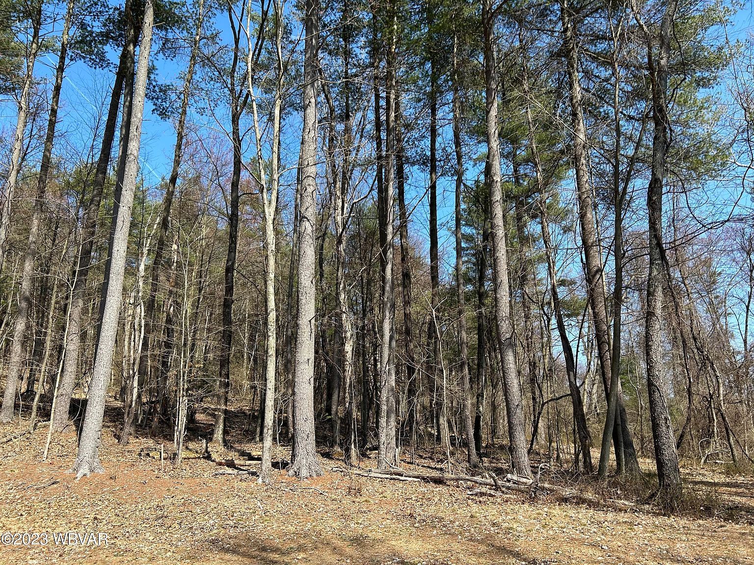 Tallman Hollow Rd LOT 4 Montoursville, PA 17754 - Thumbnail 2