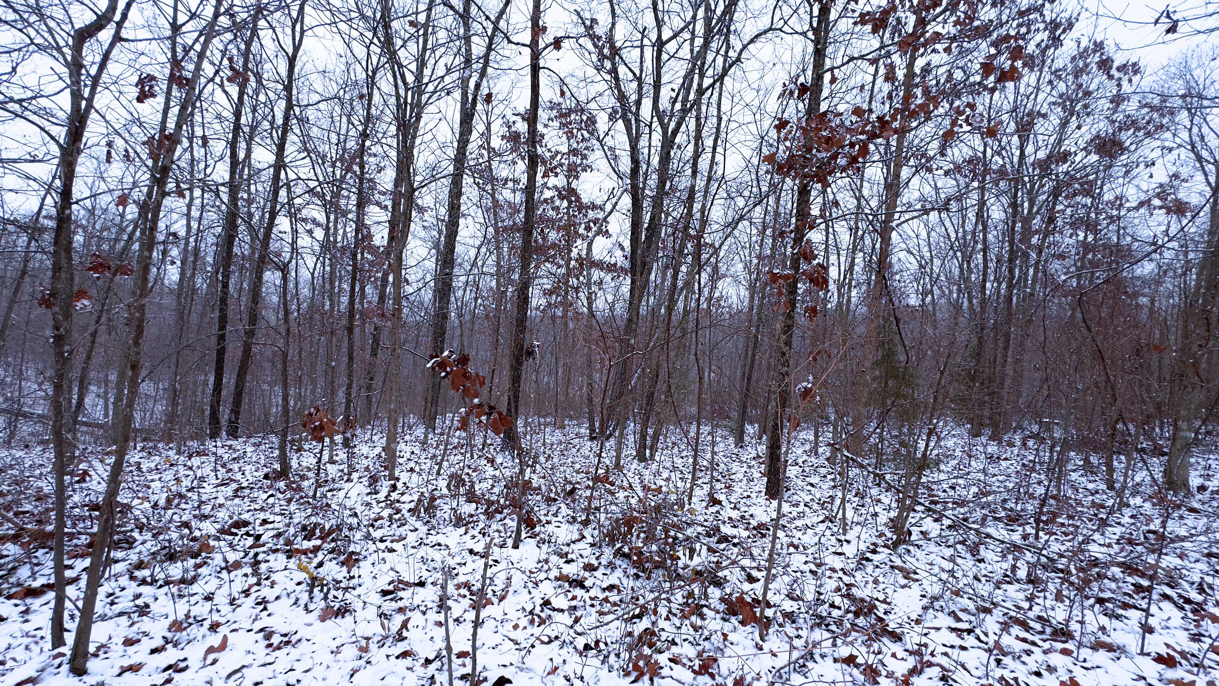 Foxtrot Road, Cadet, MO, 63630 - Thumbnail 2