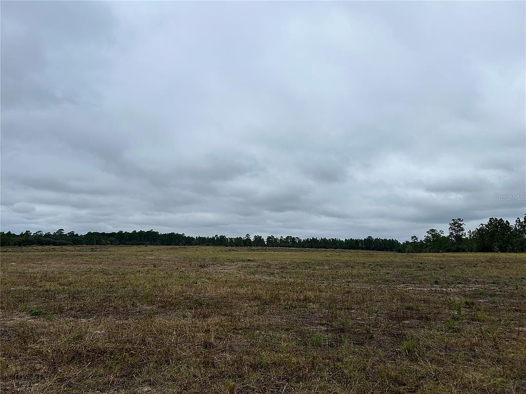 80 Southeast St Morriston, FL 32668 - Thumbnail 2