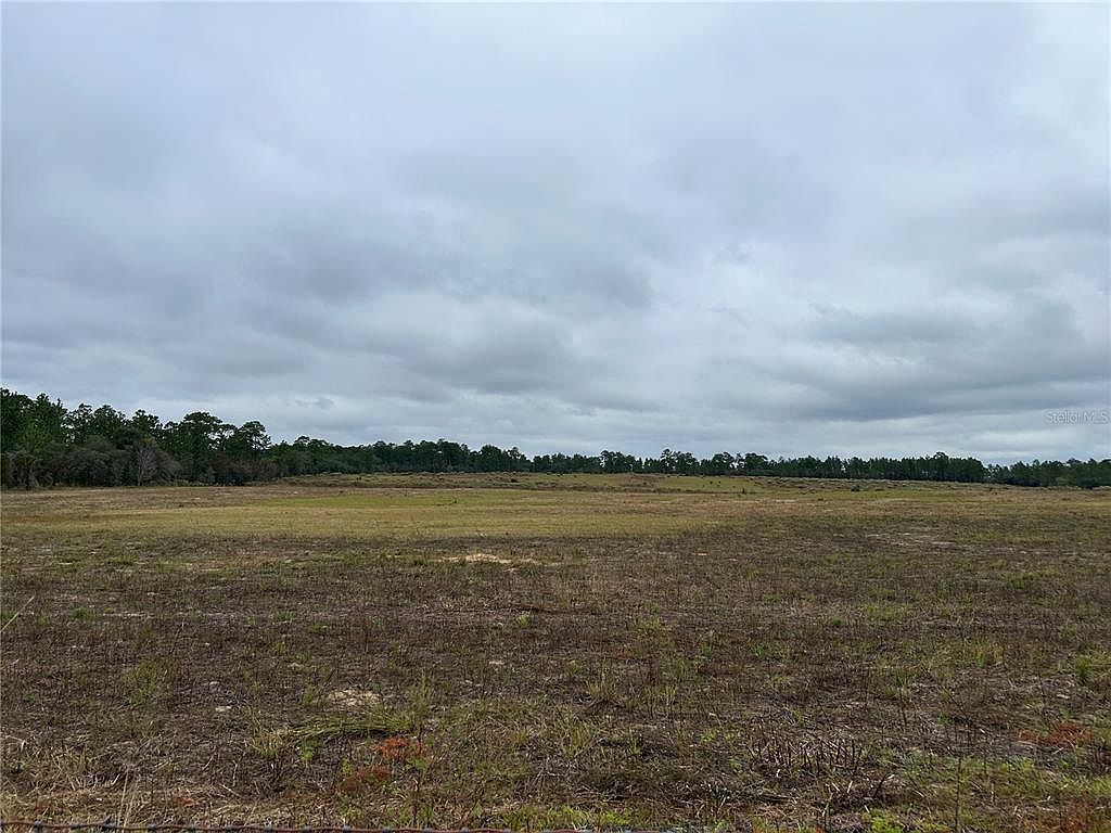 14231 SE 80th St Morriston, FL 32668  | Land/Lot