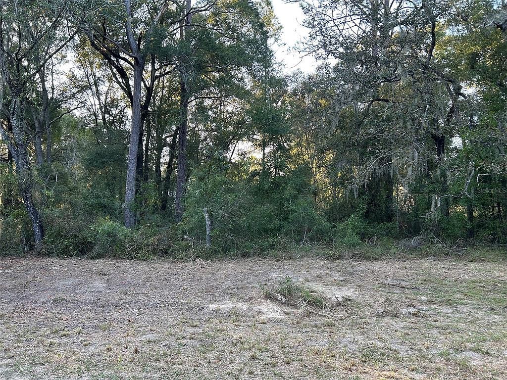 NE 155th Ct LOT 2 Williston, FL 32696 - Thumbnail 2