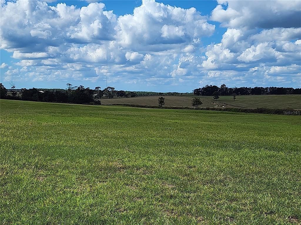 150 Southeast Ave Morriston, FL 32668 - Thumbnail 2