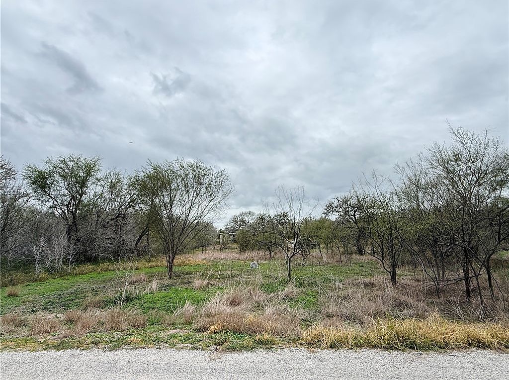 6275 N Sandy Hollow Dr Sandia, TX 78383 - Thumbnail 2