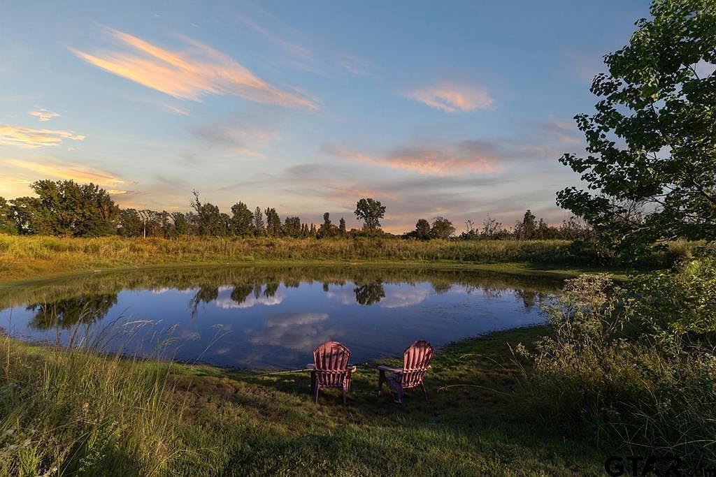 661 Vz County Road 4406 Ben Wheeler, TX 75754 - Thumbnail 2