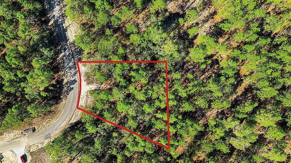 8941 N Farrington Dr Citrus Springs, FL 34433 - Thumbnail 2