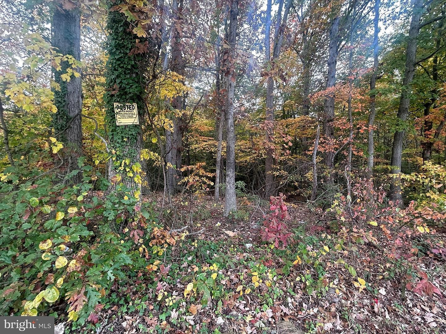 Bock Rd Fort Washington, MD 20744  | Land/Lot