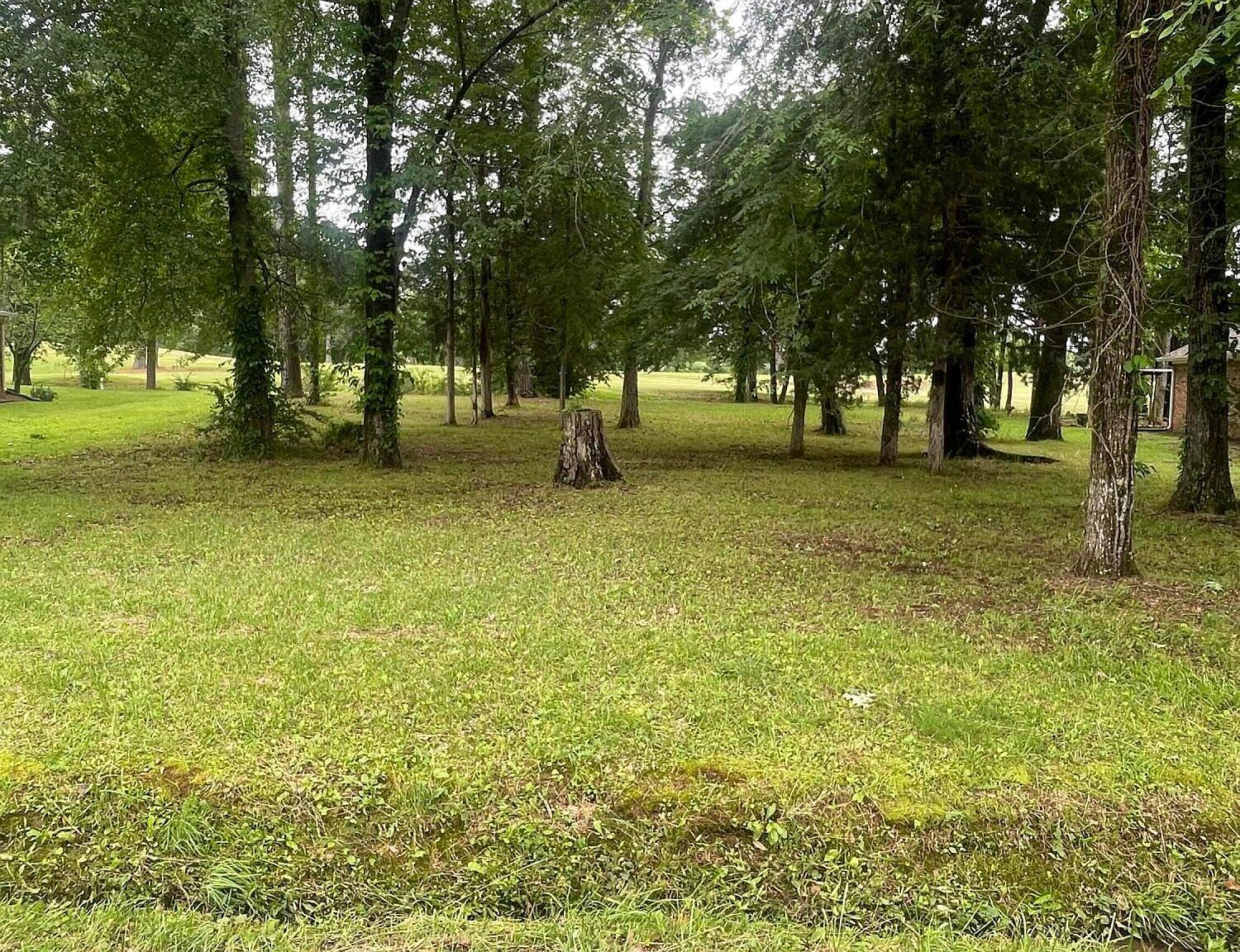 803 Oak Trl Canton, MS 39046 - Thumbnail 2