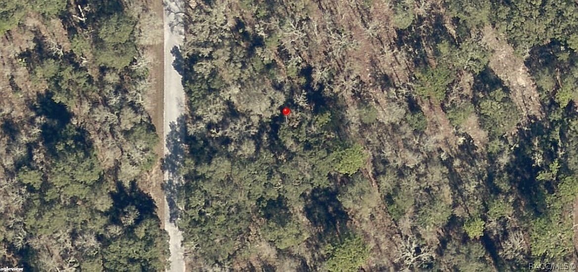 LOT 35 SW Bamboo Ln Dunnellon, FL 34431 - Thumbnail 2