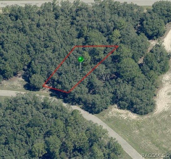 1379 W Hialeah Dr Citrus Springs, FL 34434 - Thumbnail 2