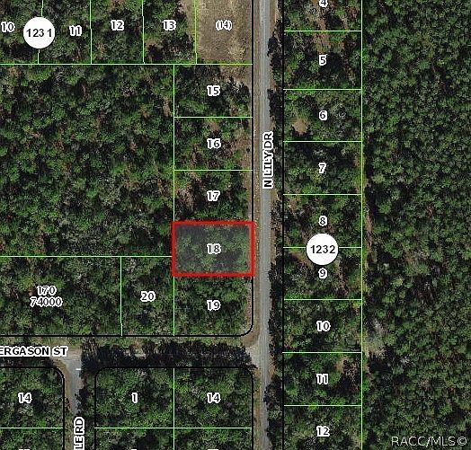 9538 N Lily Dr Citrus Springs, FL 34434 - Thumbnail 2