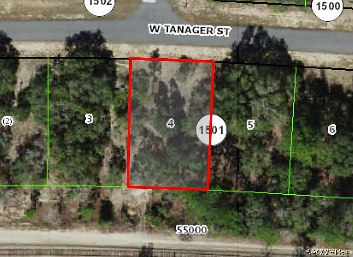 2654 W Tanager St Citrus Springs, FL 34433 - Thumbnail 2