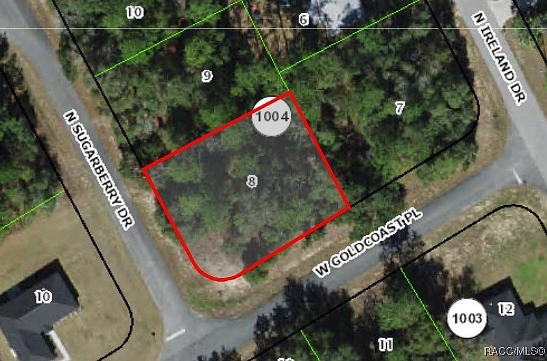 7363 N Sugarberry Dr Citrus Springs, FL 34434 - Thumbnail 2