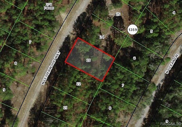 10905 N Letterwood Way Dunnellon, FL 34434 - Thumbnail 2