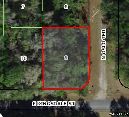 9060 N Oslo Ter Citrus Springs, FL 34434 - Thumbnail 2