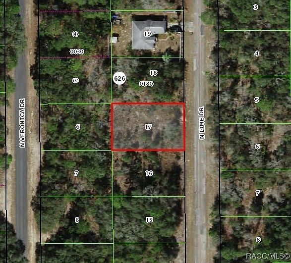 7180 N Lime Dr Citrus Springs, FL 34433 - Thumbnail 2