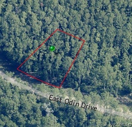 1345 E Odin Dr Citrus Springs, FL 34434  | Land/Lot