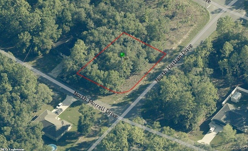 11019 N Morrell Dr Citrus Springs, FL 34434 | Land/Lot
