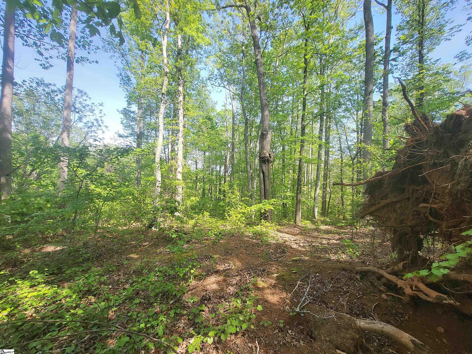 121 Laurel Valley Way Travelers Rest, SC 29690 - Thumbnail 2