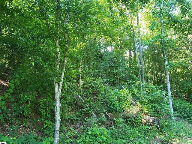 0 Hidden Valley Rd Marietta, SC 29661, 29661