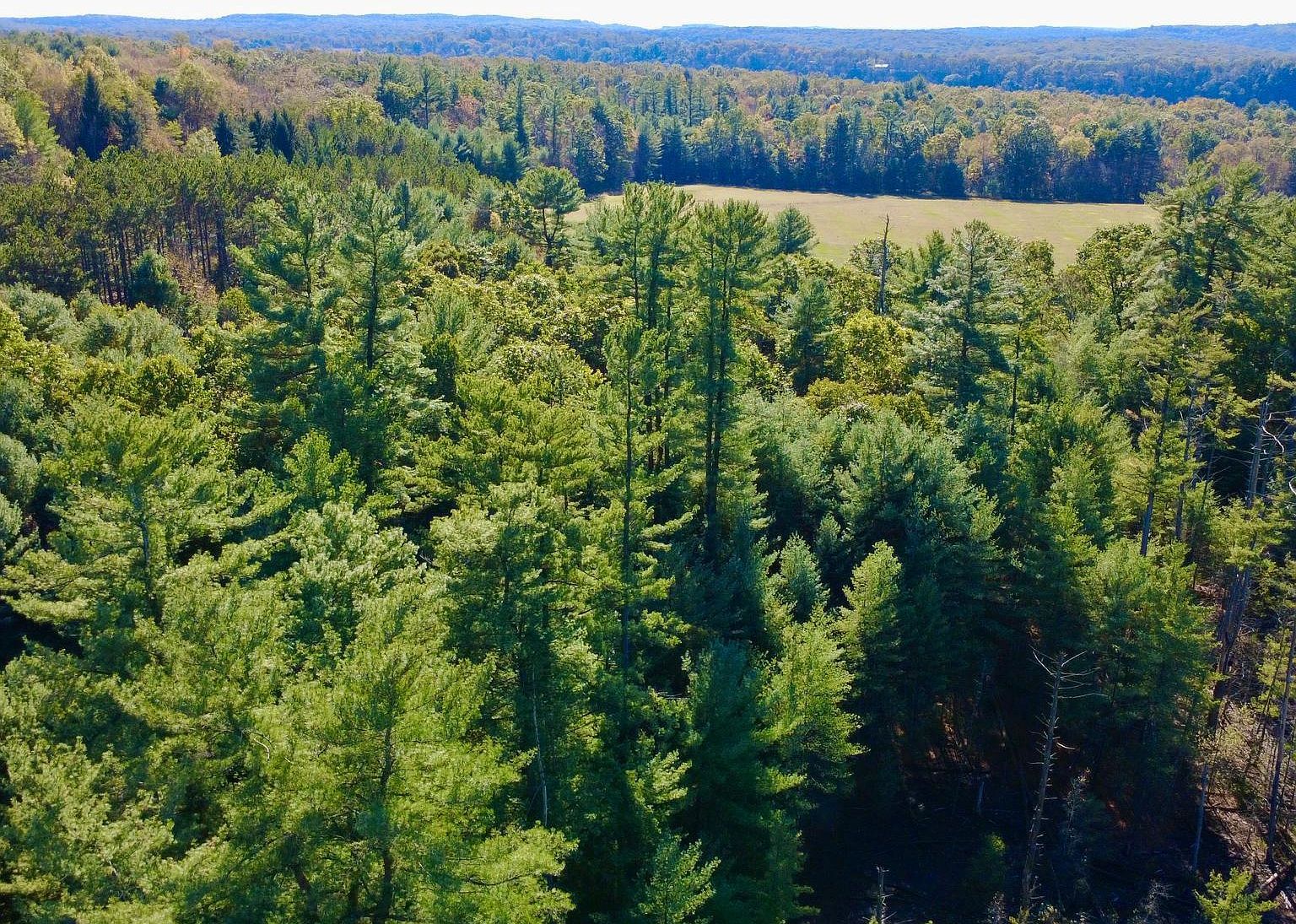 0 Pine Glen Rd Karthaus, PA 16845 - Thumbnail 2