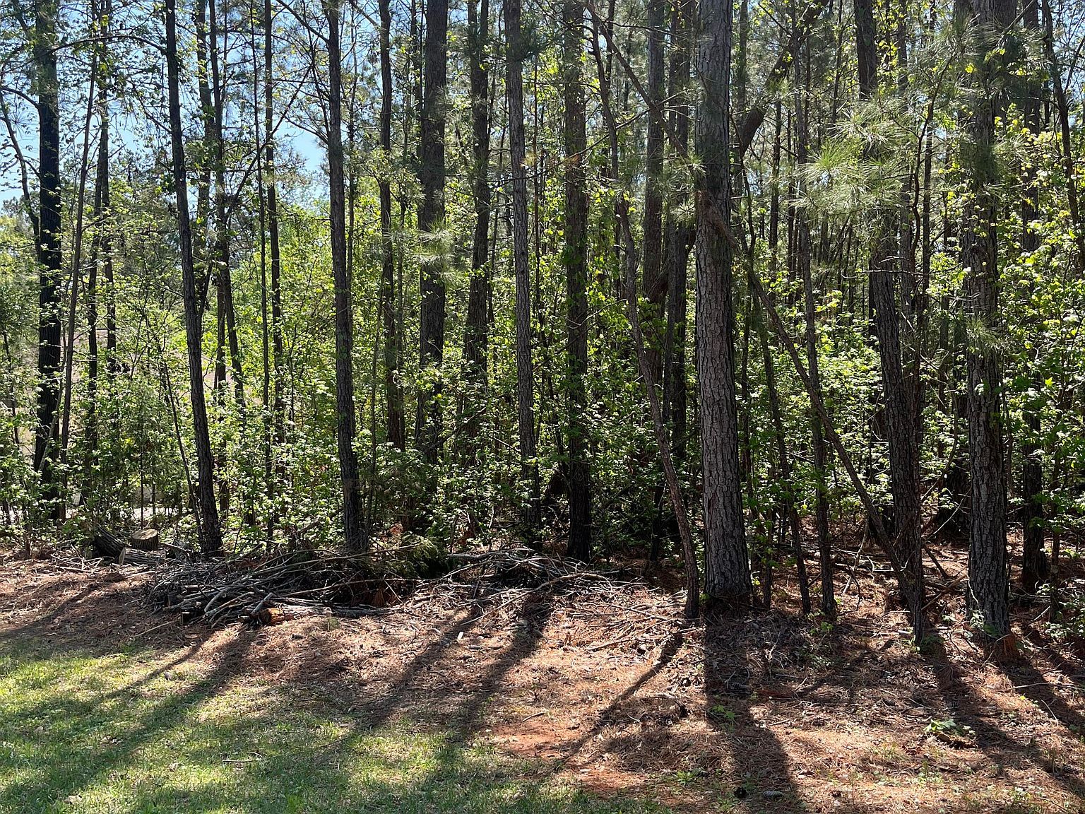 1439 L B39 Antioch Dr #14 Mc Cormick, SC 29835 - Thumbnail 2