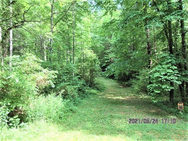 L17 Panther Springs Rd Murphy, NC 28906 - Thumbnail 2