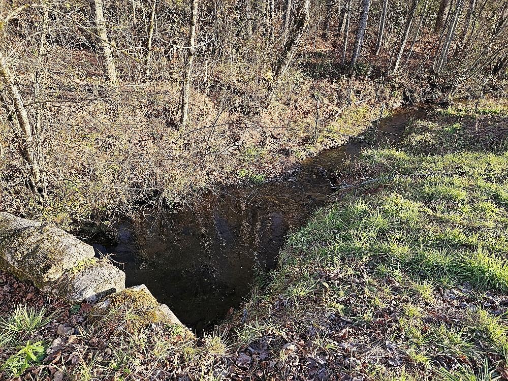 21 Broadleaf Ln Murphy, NC 28906 - Thumbnail 2