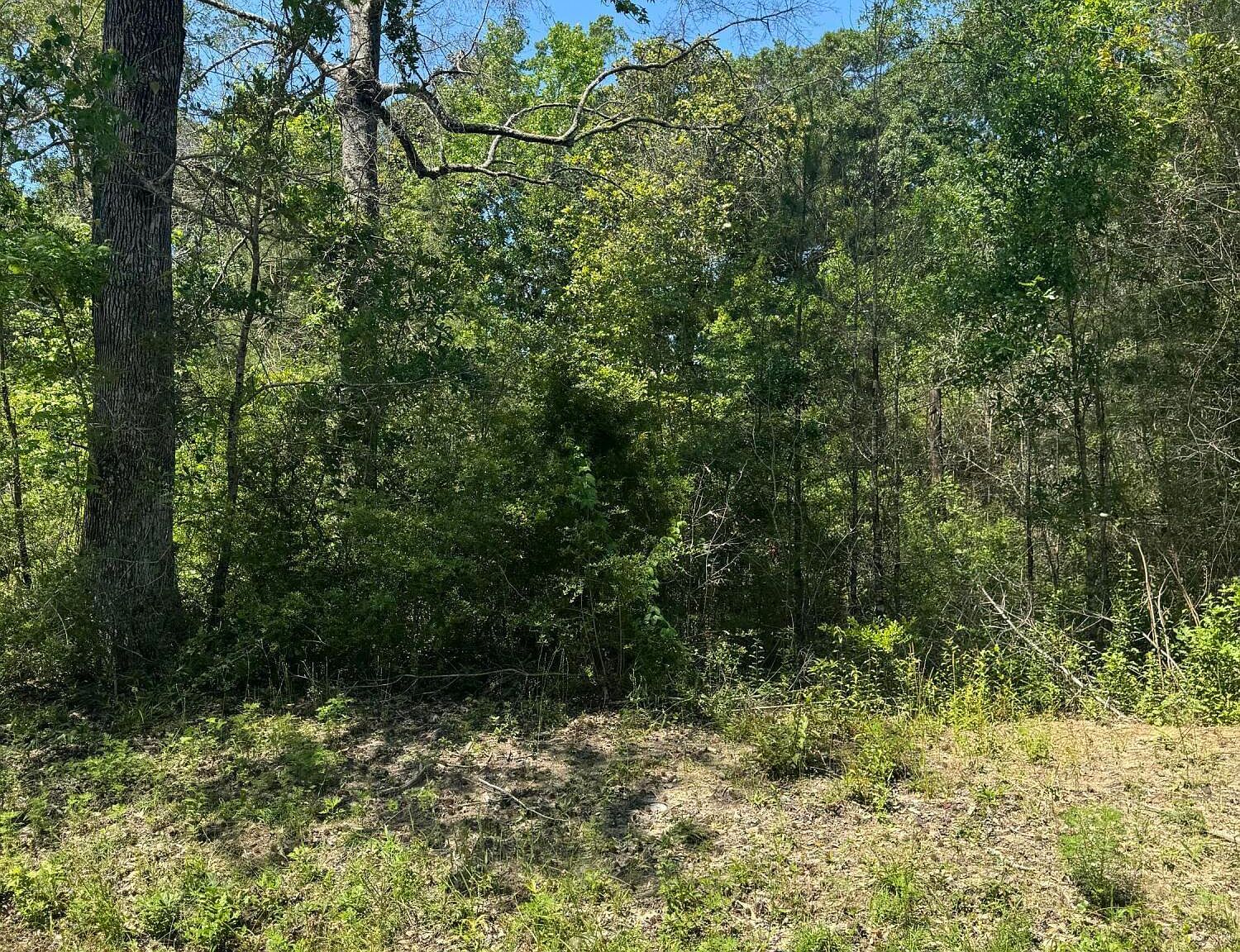 Juanita St #1101 Ocean Springs, MS 39564 | Land/Lot
