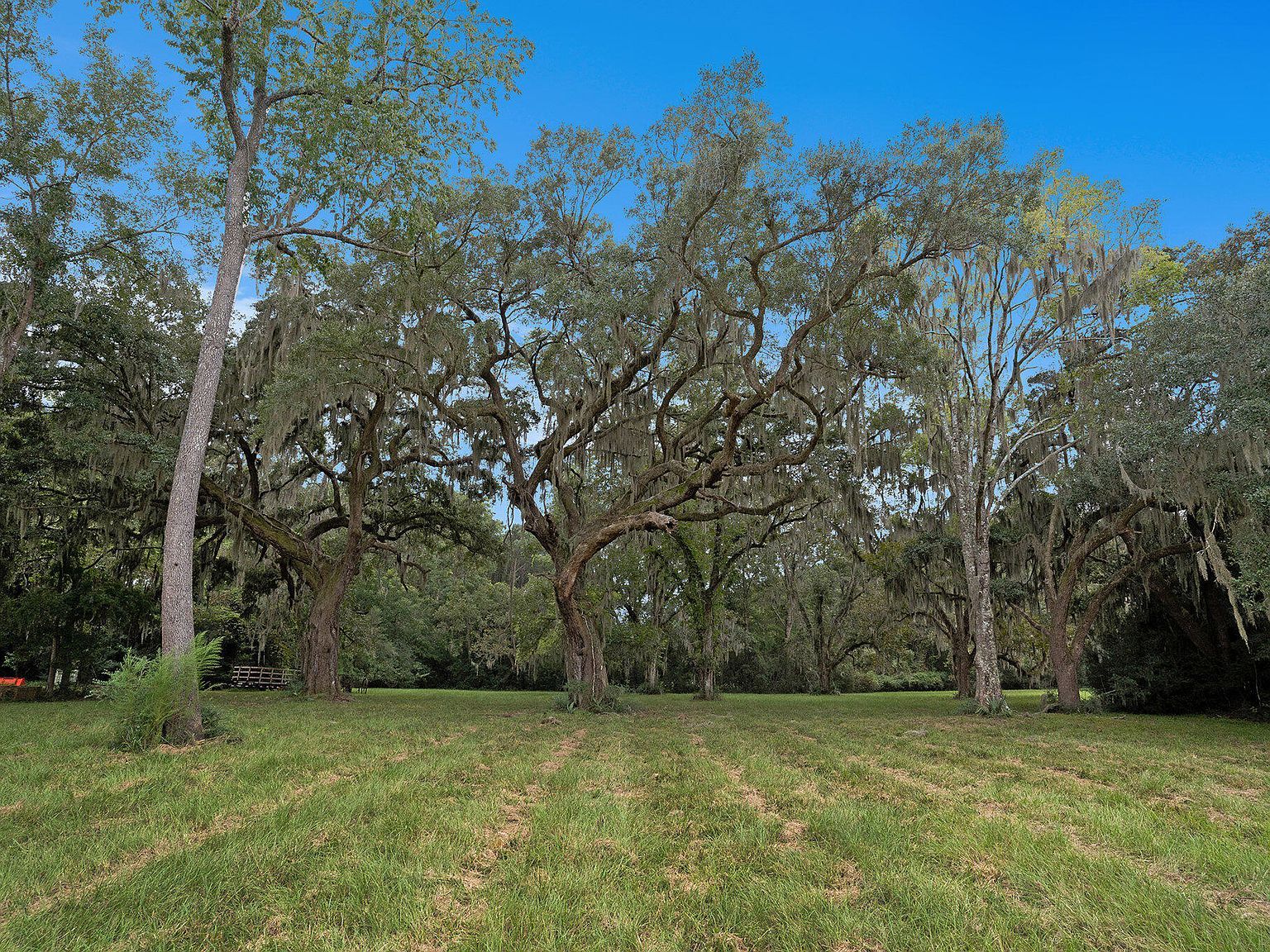 7817 Little Britton Rd Meggett, SC 29449 - Thumbnail 2