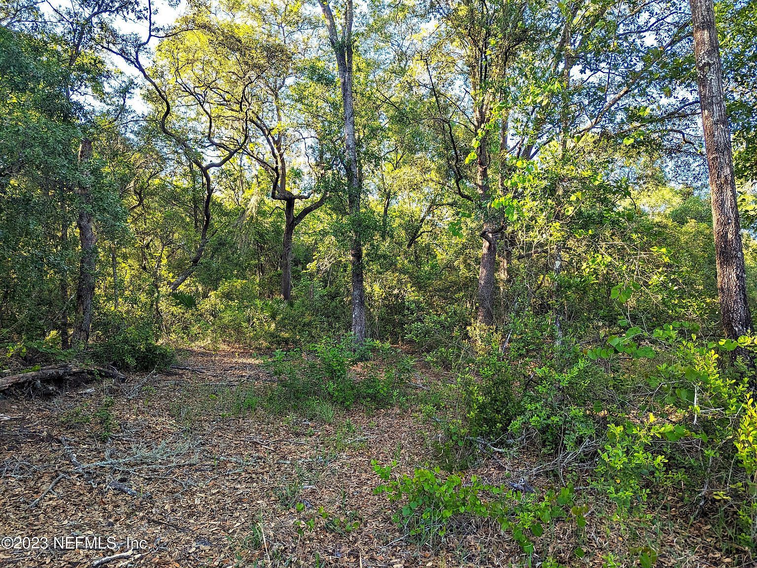 5729 Chippewa Ave Keystone Heights, FL 32656 - Thumbnail 2