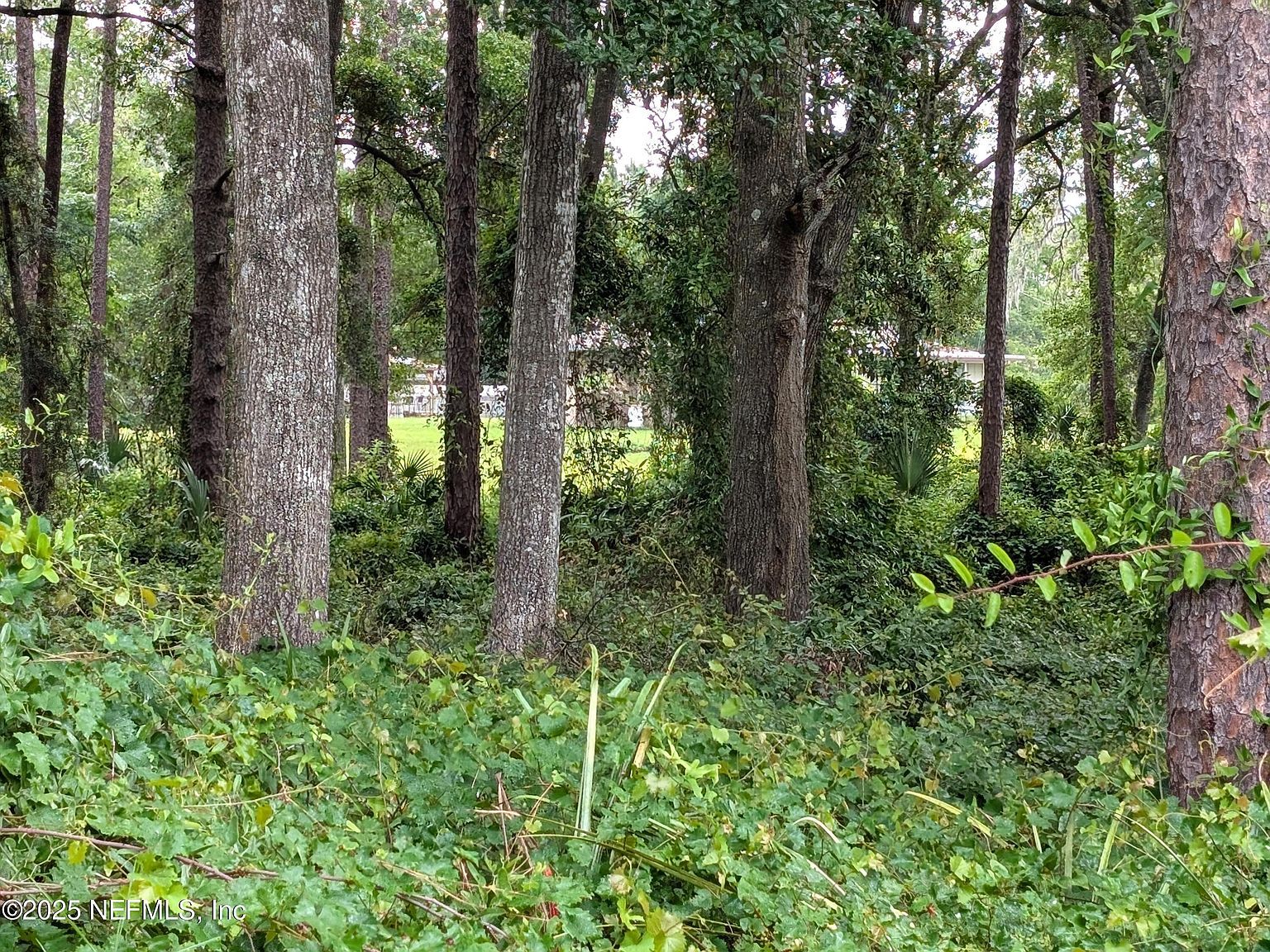 0 SE 1st Ave Keystone Heights, FL 32656 - Thumbnail 2