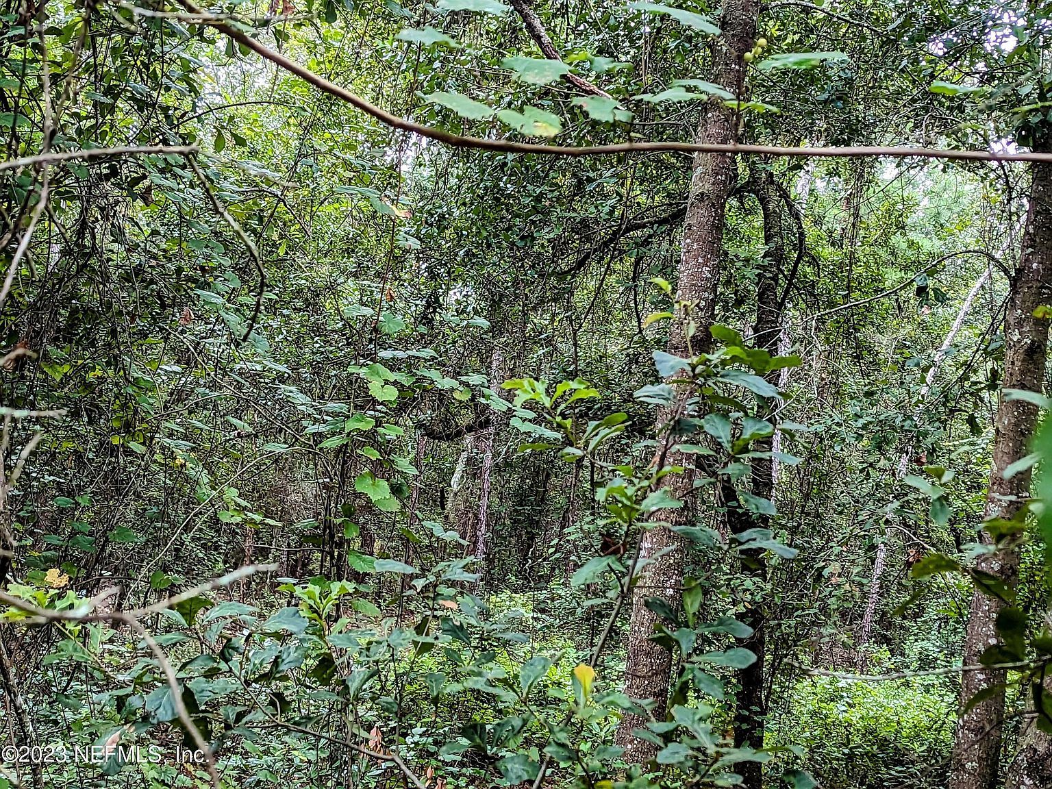 5677 Caribbean Cir Keystone Heights, FL 32656 - Thumbnail 2