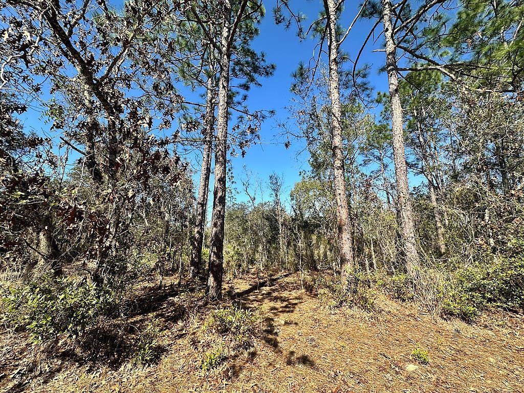 0 NE 66th Ln Williston, FL 32696 - Thumbnail 2