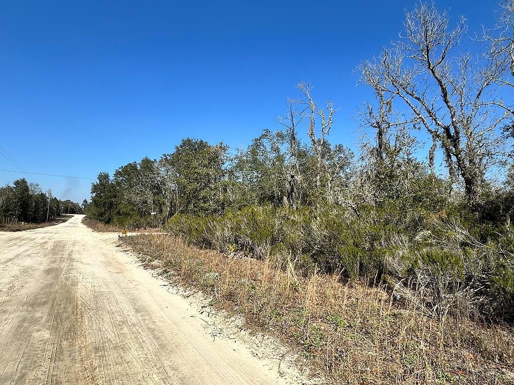 0 NE 67th Ln Williston, FL 32696 - Thumbnail 2