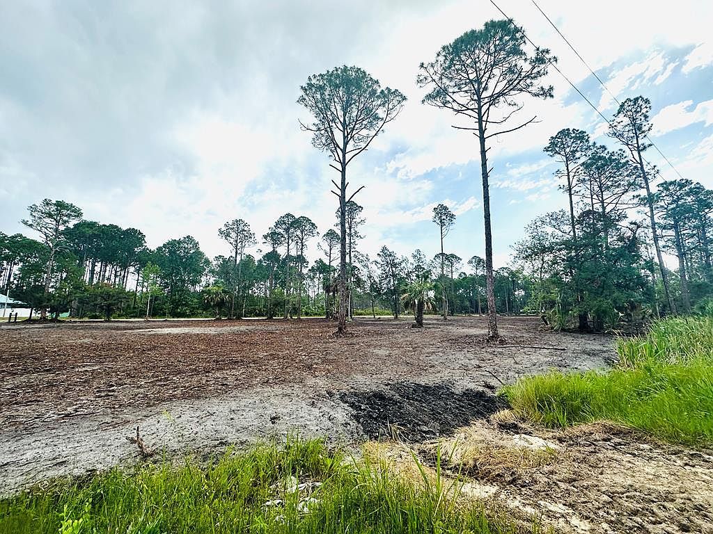 000 Pelican Place Perry, FL 32348 - Thumbnail 2