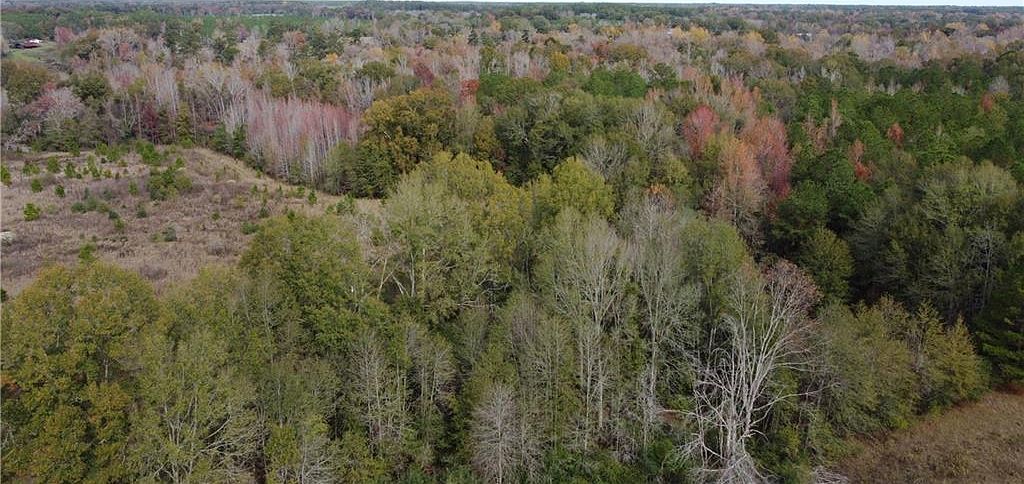 21189 P Griffin Rd Kentwood, LA 70444 - Thumbnail 2