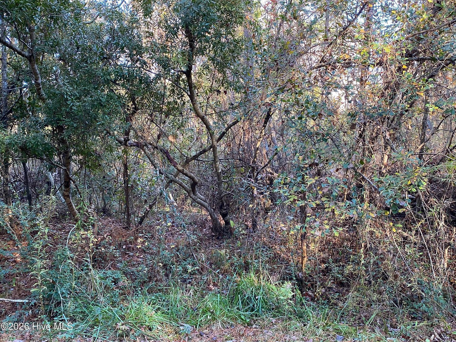 255 Wards Ln Havelock, NC 28532 - Thumbnail 2