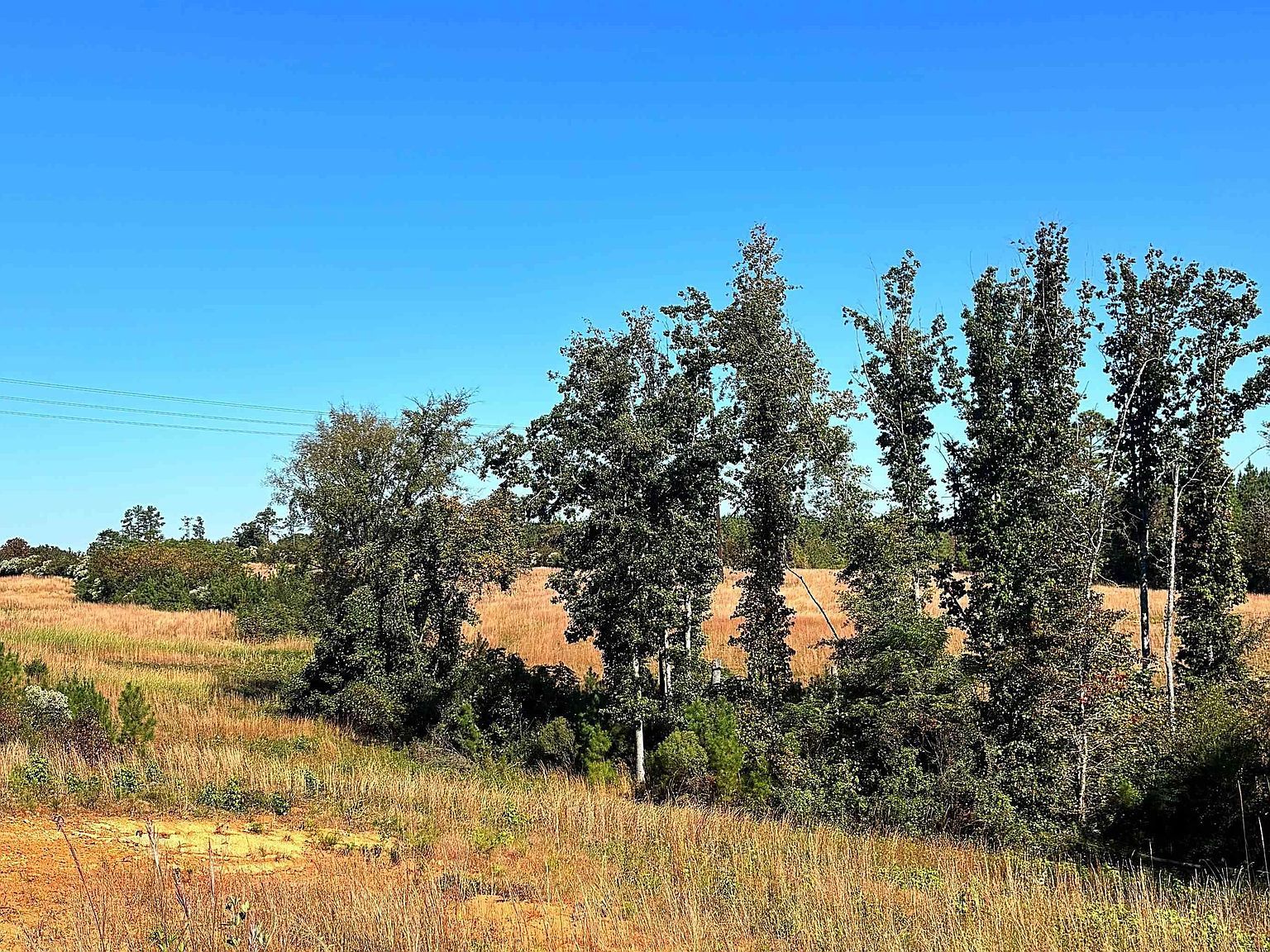 0 Riverfork Rd Waterloo, SC 29384 - Thumbnail 2