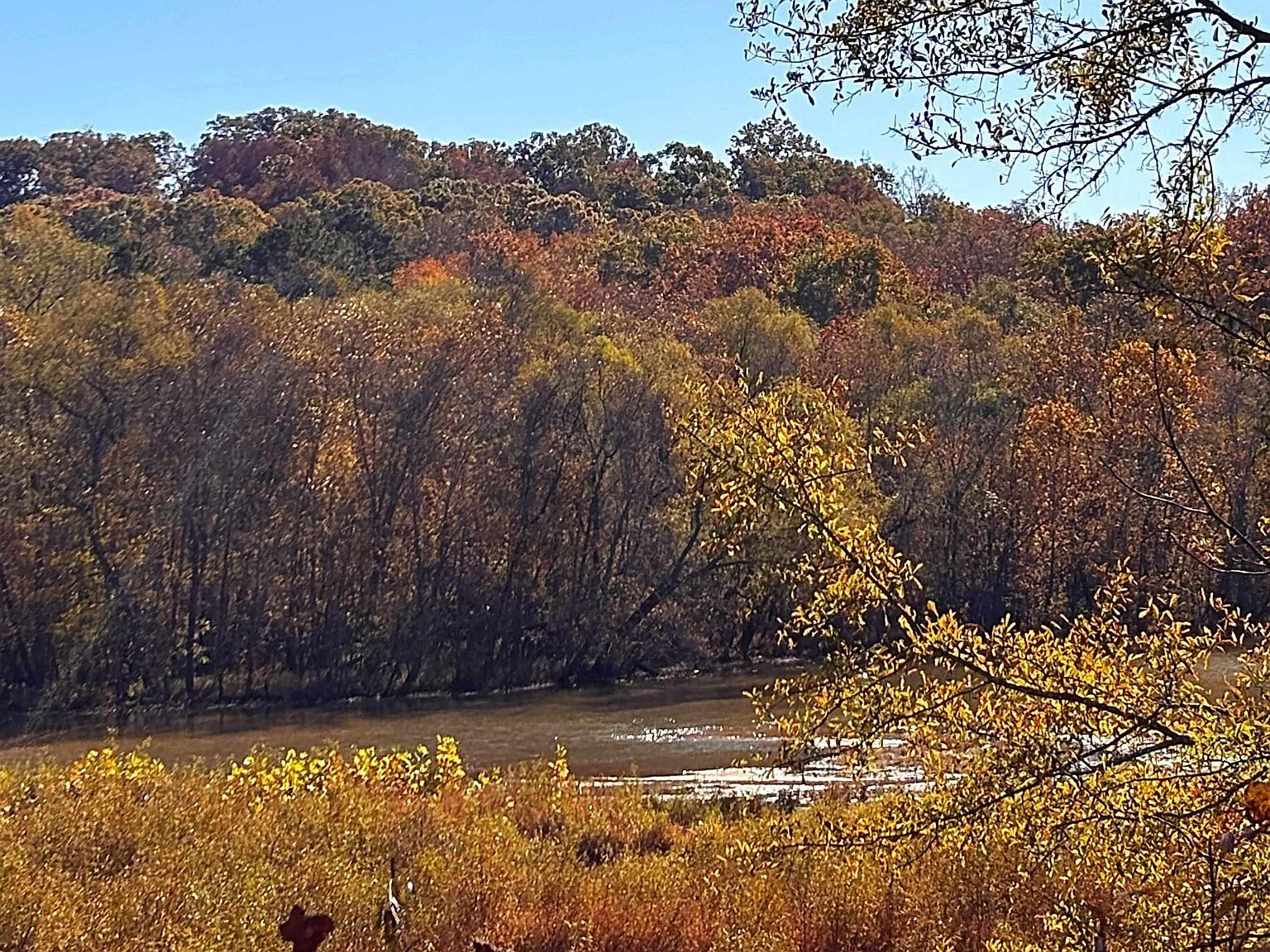 45 Deer Meadows Rd Laurens, SC 29360 - Thumbnail 2