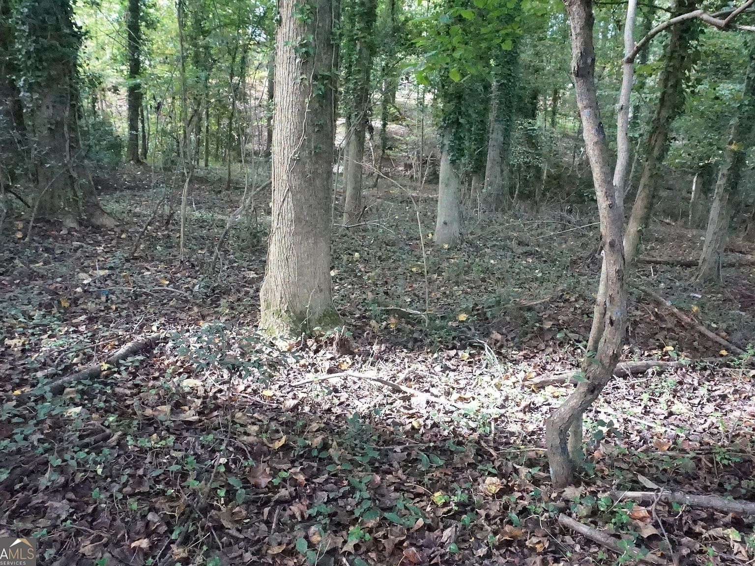 6 Pine Valley Dr Royston, GA 30662 - Thumbnail 2