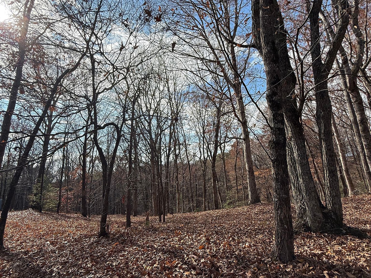 0 Orchard Rd Jasper, GA 30143 - Thumbnail 2