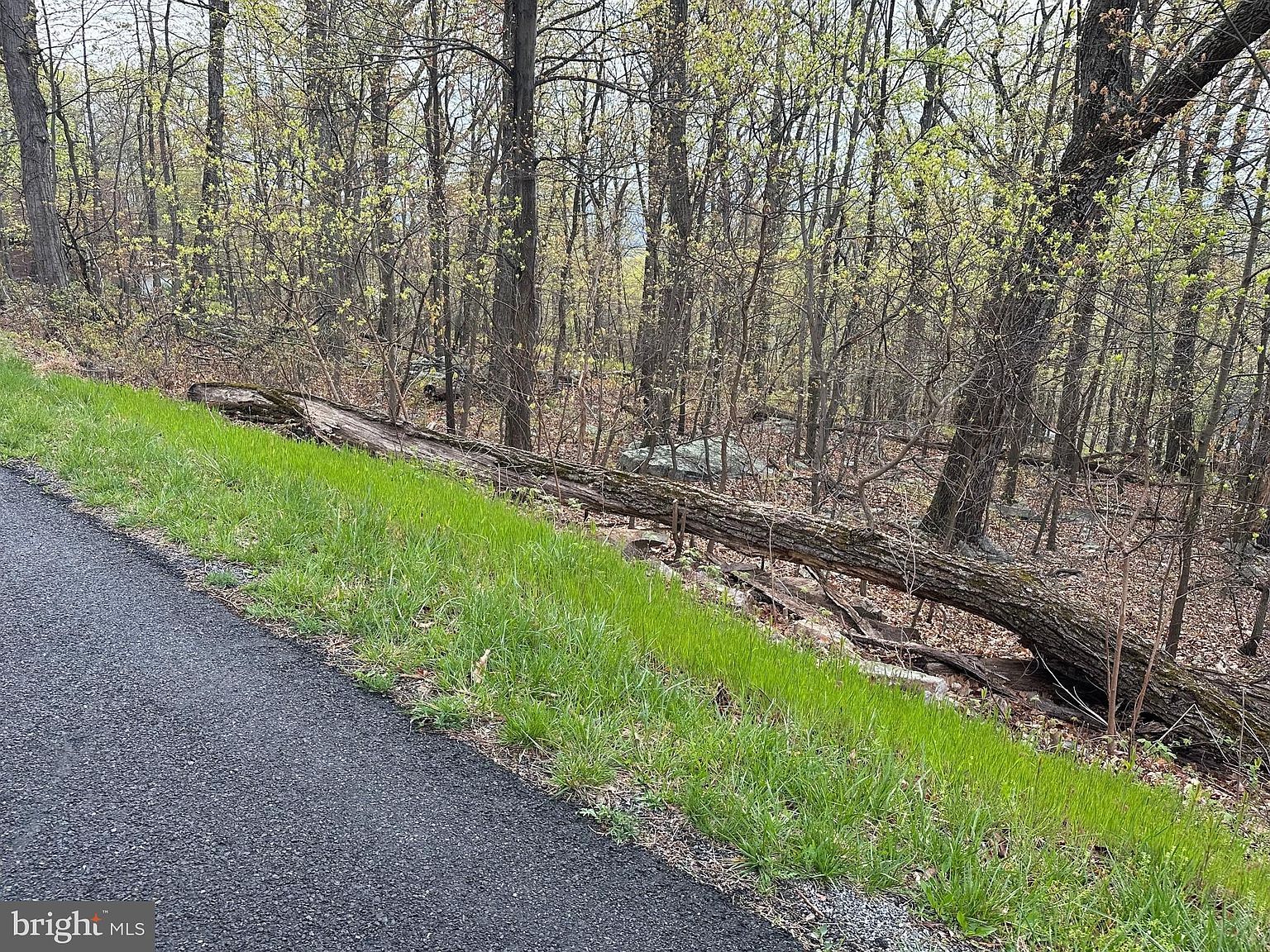 232 Inca Trl Winchester, VA 22602 - Thumbnail 2